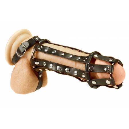 Penis harness with spikes