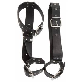 Bad Kitty Neck And Hand Restraints