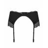 Klarita garter belt   S/M