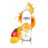 BTB WATER BASED FLAVORED MANGO LUBRICANT 250ML